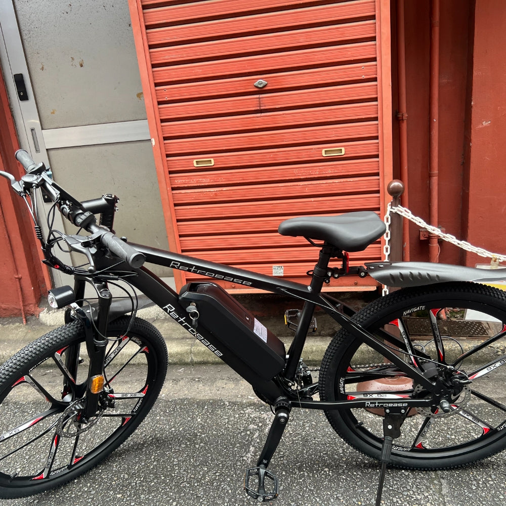 RetroEase DY2601Lファットタイヤ電動自転車