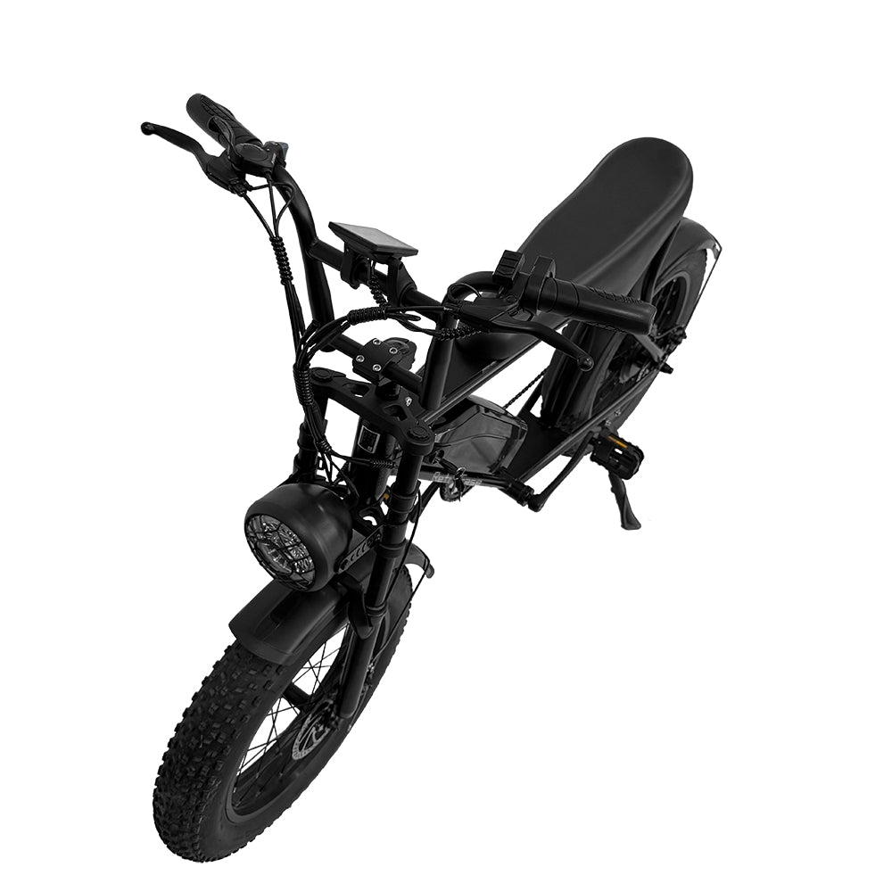 RetroEase 006HZ ファットタイヤ電動自転車