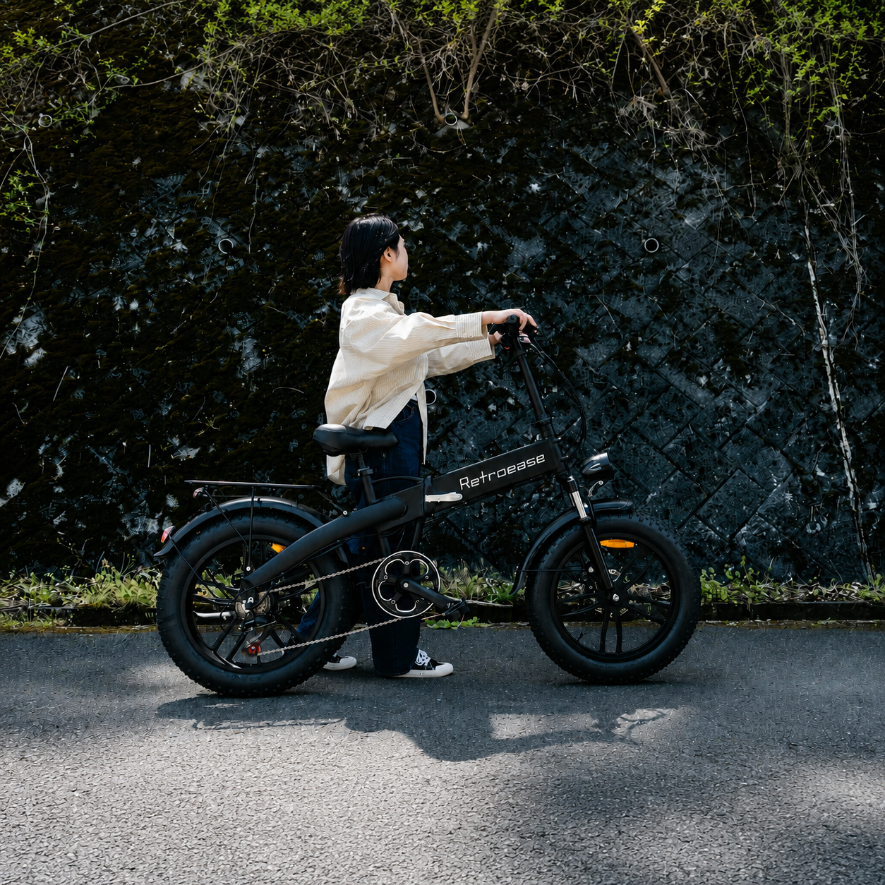 RetroEase DY2006 折りたたみ電動自転車