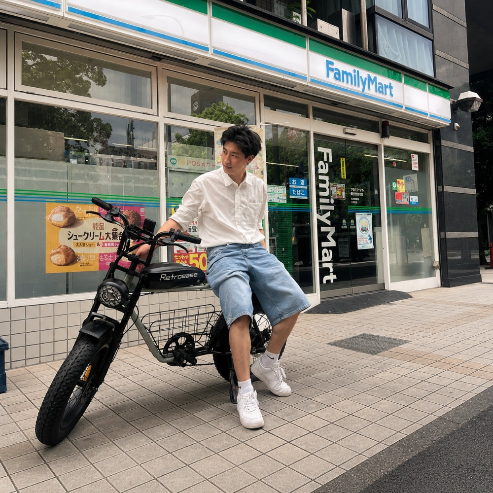 RetroEase DYS2 ファットタイヤ電動自転車