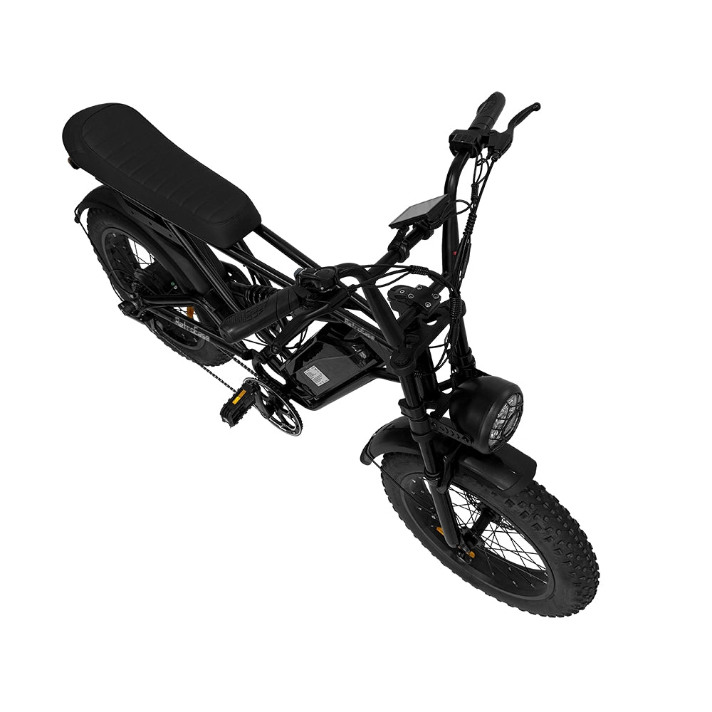 RetroEase DY005 ファットタイヤ電動自転車