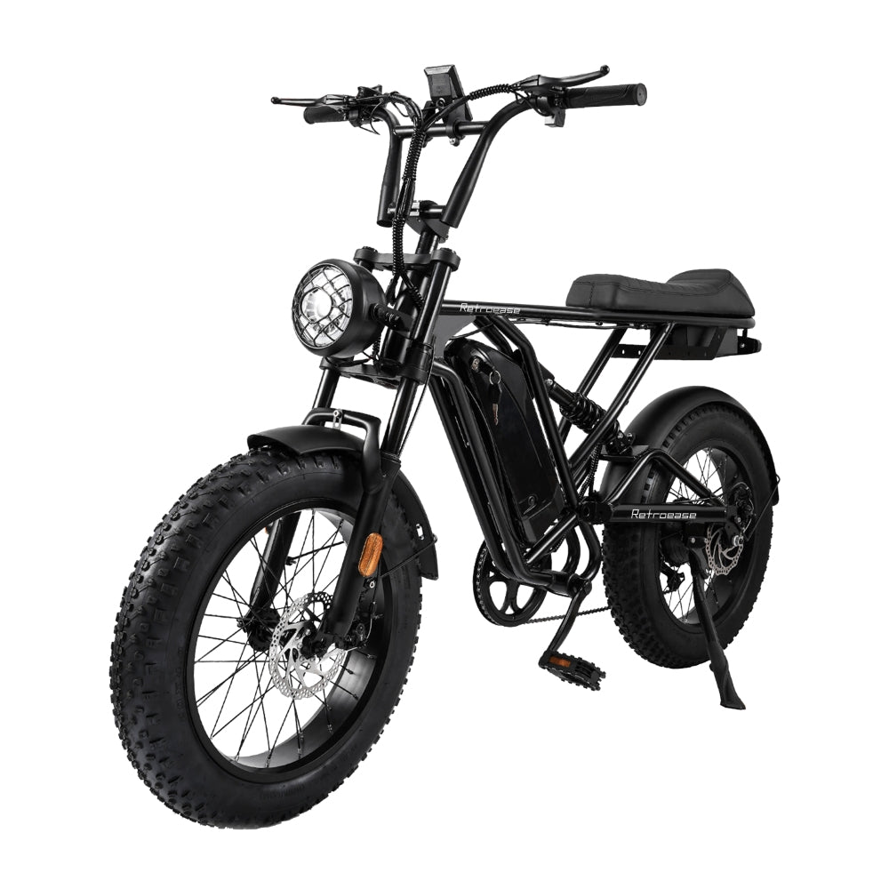 RetroEase DY005 ファットタイヤ電動自転車