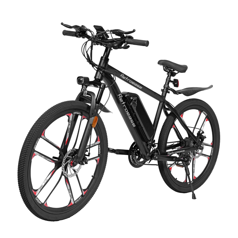 RetroEase DY2601Lファットタイヤ電動自転車