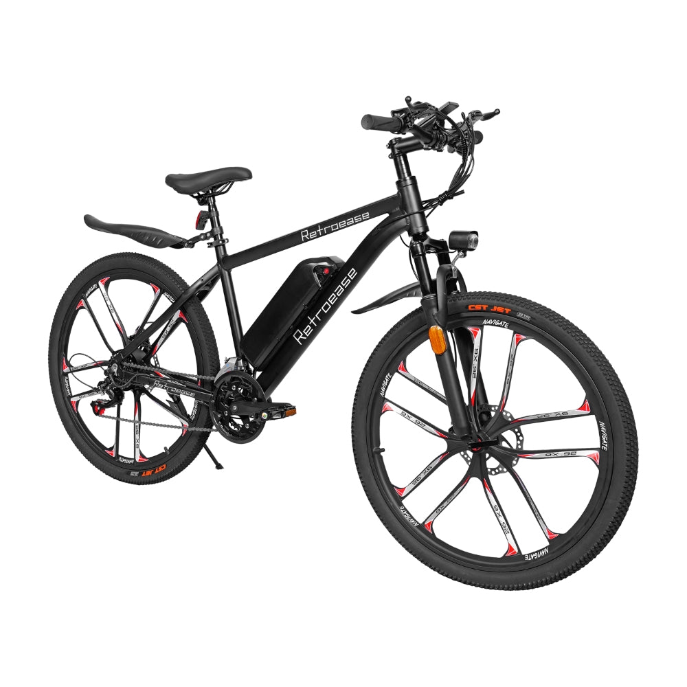 RetroEase DY2601Lファットタイヤ電動自転車