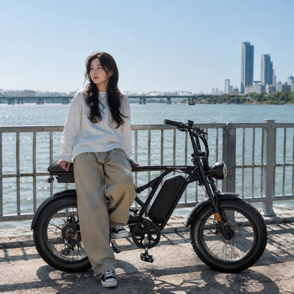 RetroEase DY005 ファットタイヤ電動自転車