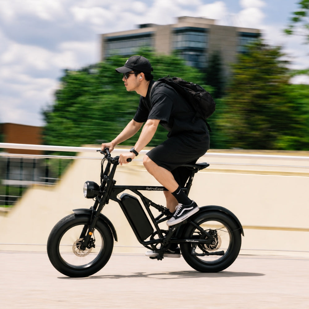 RetroEase DY005 ファットタイヤ電動自転車