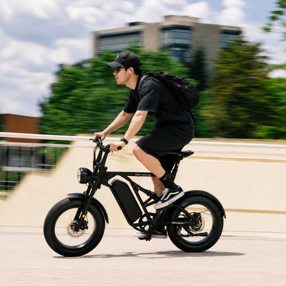 RetroEase DY005 ファットタイヤ電動自転車