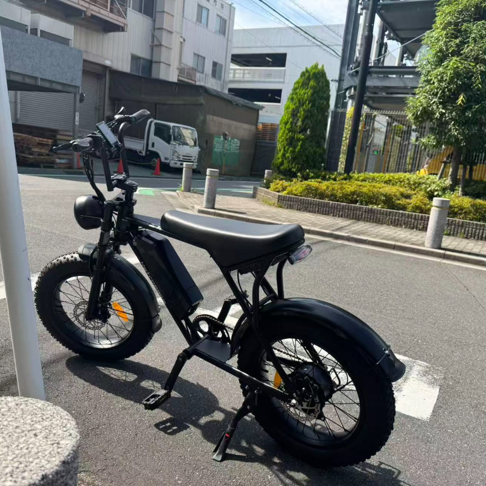 RetroEase 006HZ ファットタイヤ電動自転車