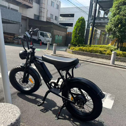 RetroEase 006HZ ファットタイヤ電動自転車