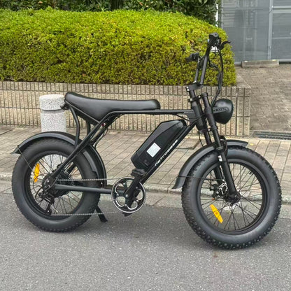 RetroEase 006HZ ファットタイヤ電動自転車