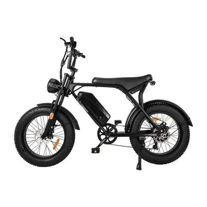 RetroEase 006HZ ファットタイヤ電動自転車