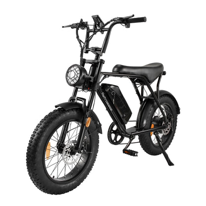 RetroEase 006HZ ファットタイヤ電動自転車