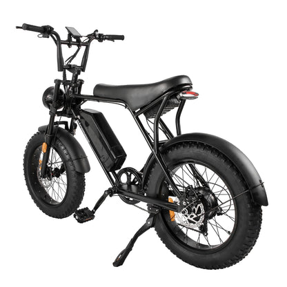RetroEase 006HZ ファットタイヤ電動自転車