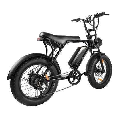 RetroEase 006HZ ファットタイヤ電動自転車