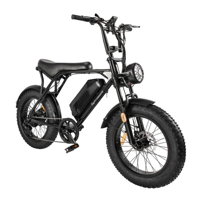 RetroEase 006HZ ファットタイヤ電動自転車