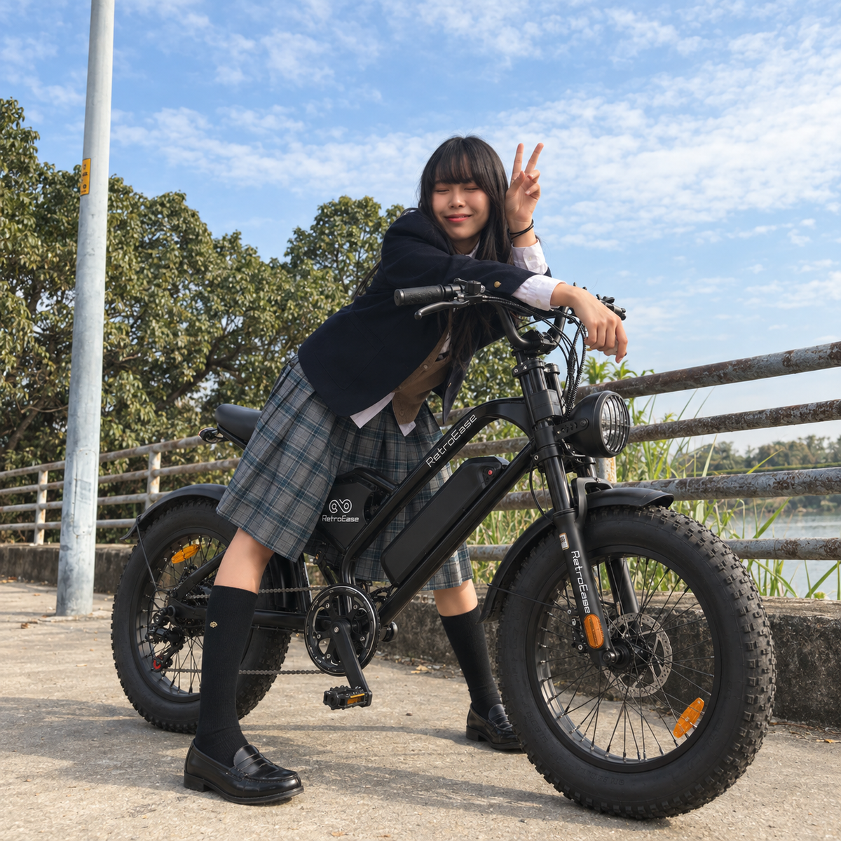RetroEase DY007 ファットタイヤ電動自転車｜都市とアウトドア向けの