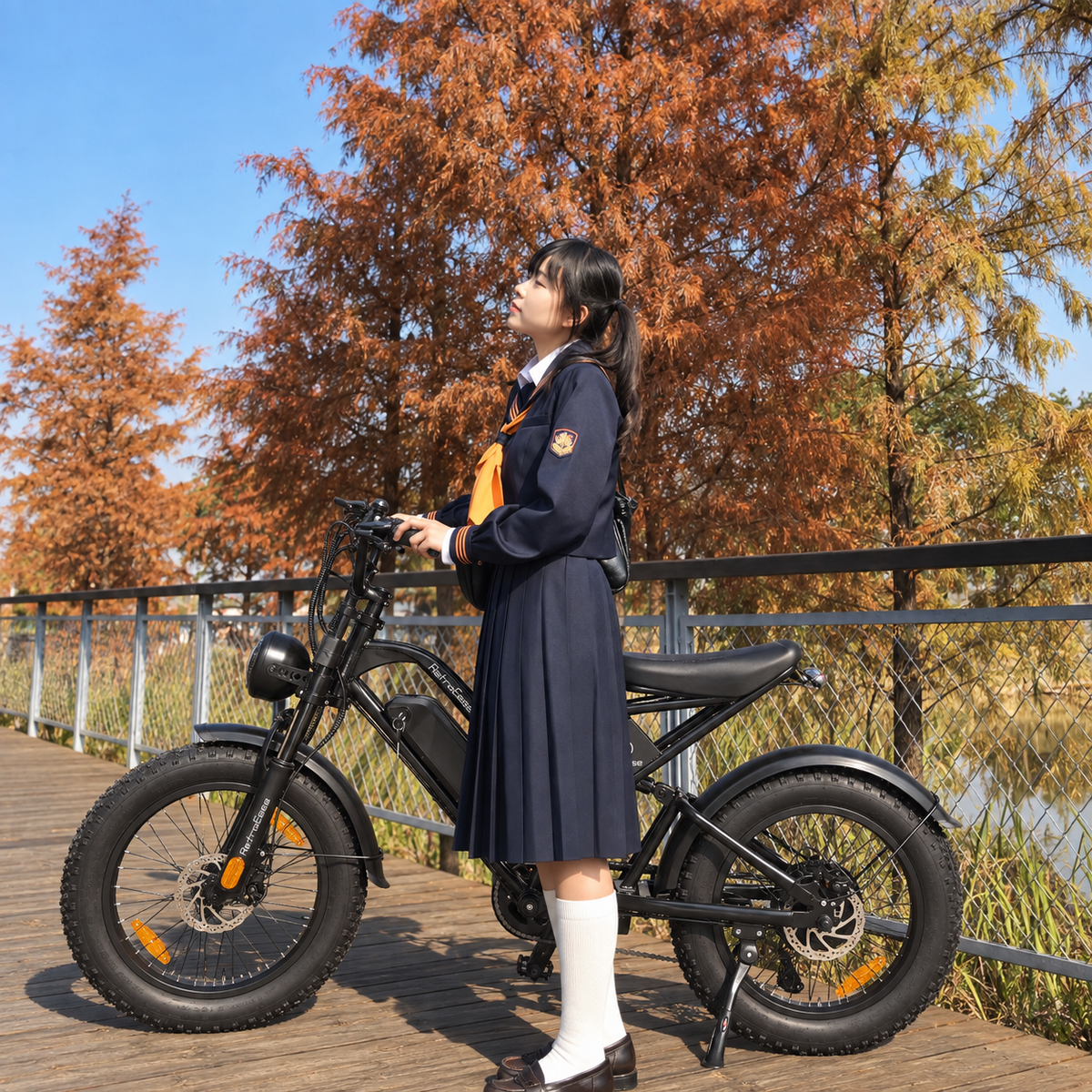 RetroEase DY007 ファットタイヤ電動自転車｜都市とアウトドア向けの
