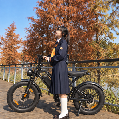 DY007 RetroEase ファットタイヤ電動自転車