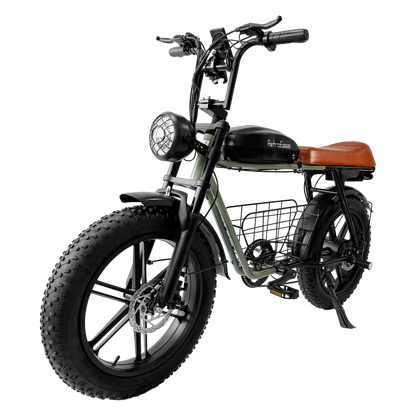DYS2 RetroEase ファットタイヤ電動自転車