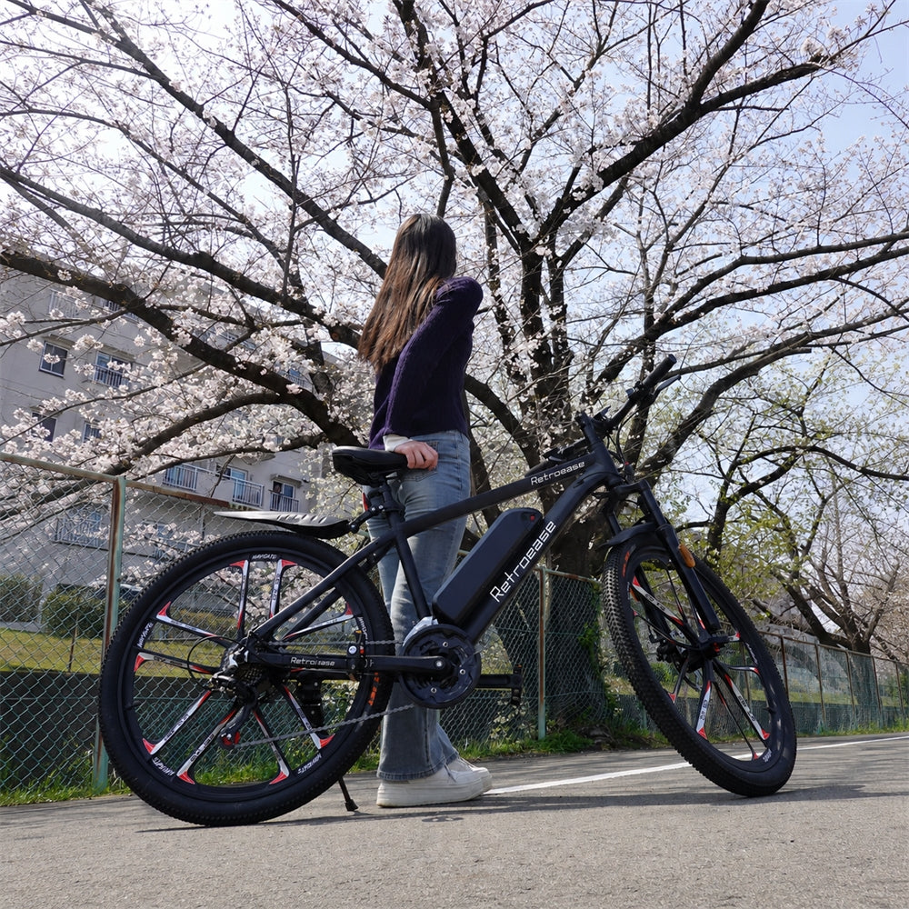RetroEase DY2601Lファットタイヤ電動自転車
