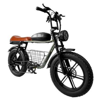 DYS2 RetroEase ファットタイヤ電動自転車