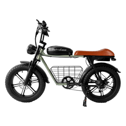 DYS2 RetroEase ファットタイヤ電動自転車