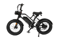 RetroEase JY0034 電動アシスト自転車