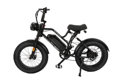 RetroEase JY0034 電動アシスト自転車
