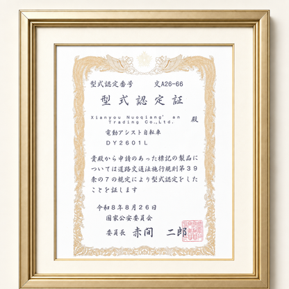 DY2601L RetroEase 電動マウンテンバイク