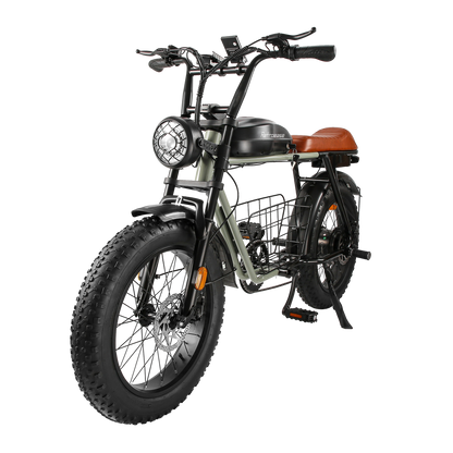 RetroEase DYS2 電動アシスト自転車
