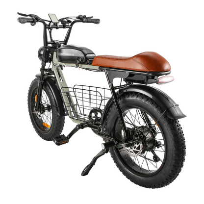 RetroEase DYS2 電動アシスト自転車