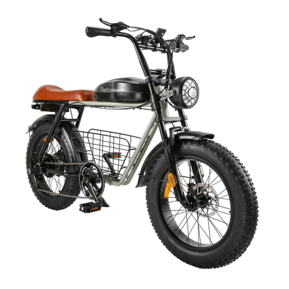 RetroEase DYS2 電動アシスト自転車