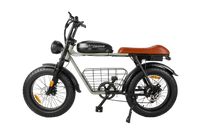 RetroEase DYS2 電動アシスト自転車
