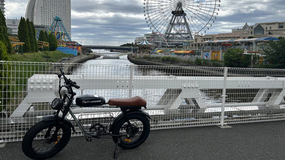 RetroEase DYS2 ファットタイヤ電動自転車