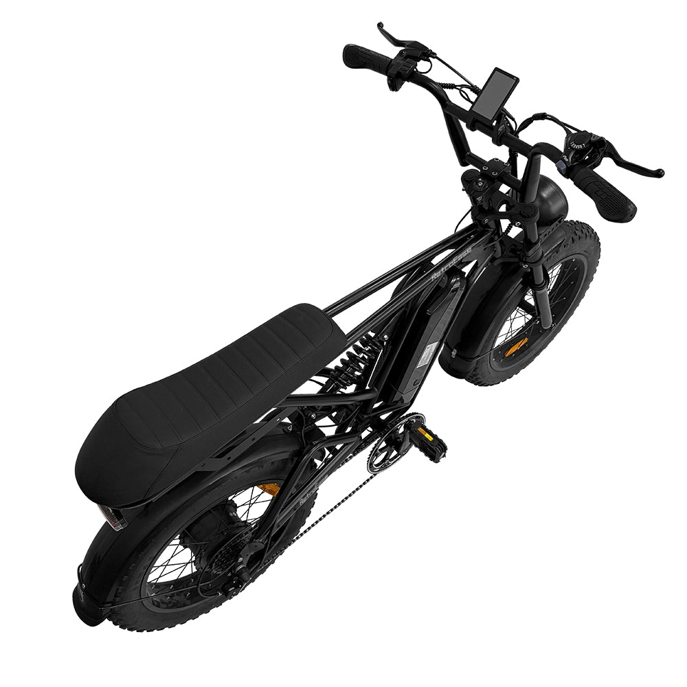 RetroEase DY005 ファットタイヤ電動自転車