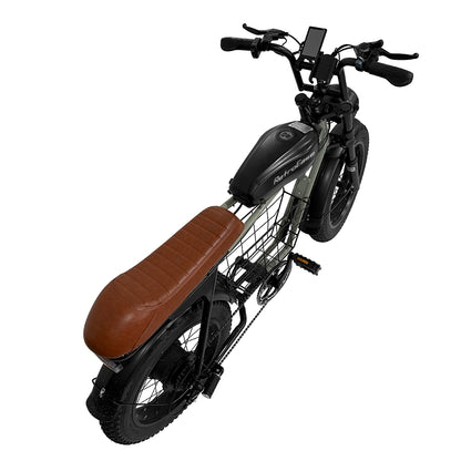 RetroEase DYS2 ファットタイヤ電動自転車