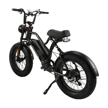 RetroEase JY0034 ファットタイヤ電動自転車