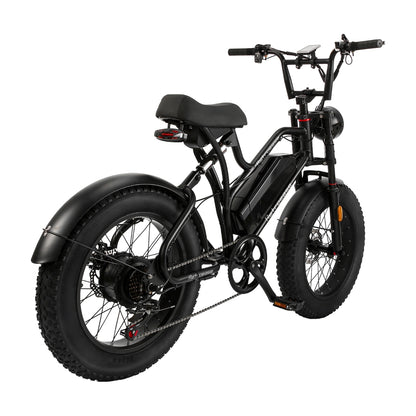 RetroEase JY0034 ファットタイヤ電動自転車