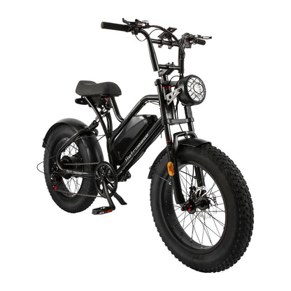 RetroEase JY0034 ファットタイヤ電動自転車