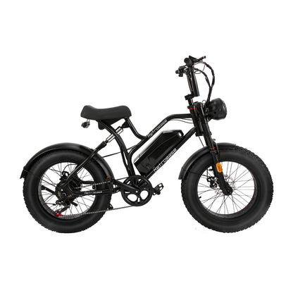 RetroEase JY0034 ファットタイヤ電動自転車