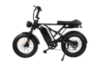 RetroEase DY005 電動アシスト自転車