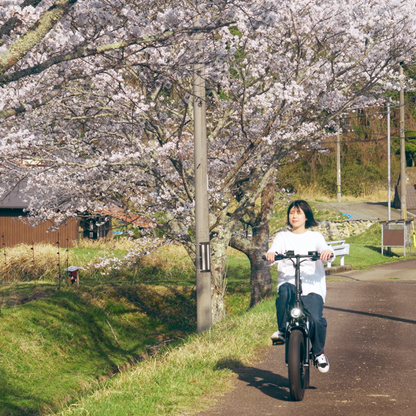 RetroEase DY2006 電動アシスト自転車