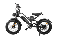 RetroEase DY007 電動アシスト自転車