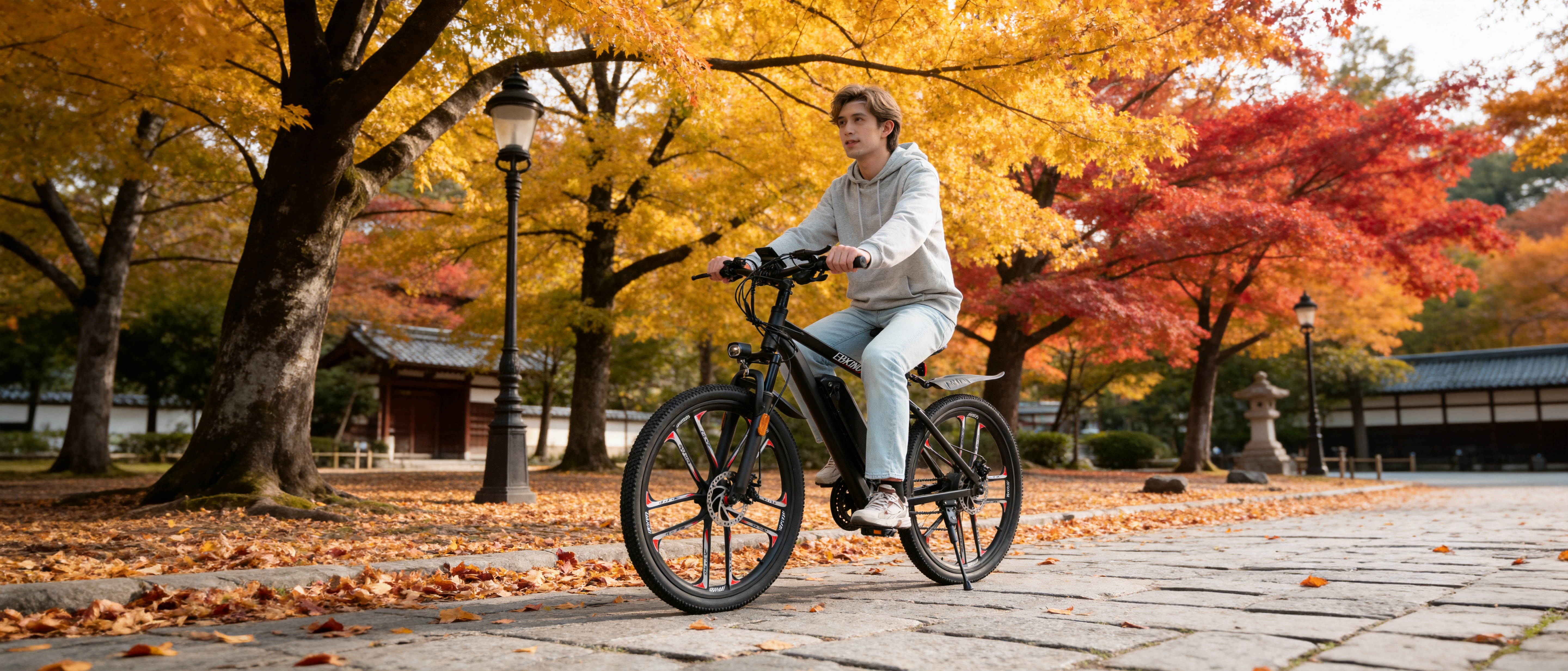 すべての電動自転車