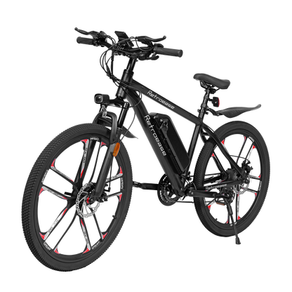 RetroEase DY2601L 電動アシスト自転車