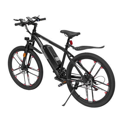 RetroEase DY2601L 電動アシスト自転車