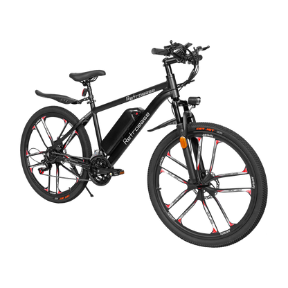 RetroEase DY2601L 電動アシスト自転車