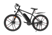RetroEase DY2601L 電動アシスト自転車