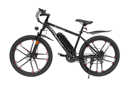 RetroEase DY2601L 電動アシスト自転車