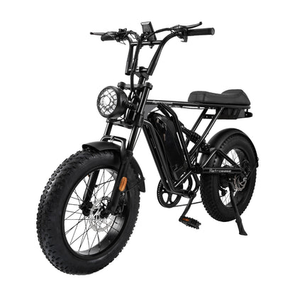 RetroEase DY005 ファットタイヤ電動自転車